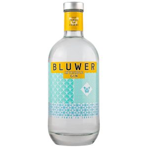 GIN BLUWER INVISIBLE 0,70L