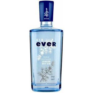 GIN EVER LONDON DRY 0,70L