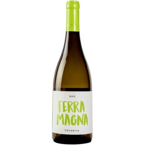 VINHO TERRA MAGNA COLHEITA SELECIONADA 2019 BRANCO 0,75L