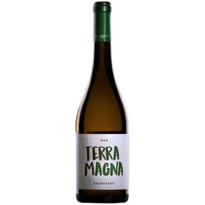 VINHO TERRA MAGNA ENCRUZADO 2019 BRANCO 0,75L