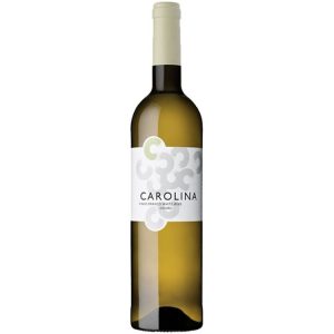 VINHO CAROLINA 2012 BRANCO 0,75L
