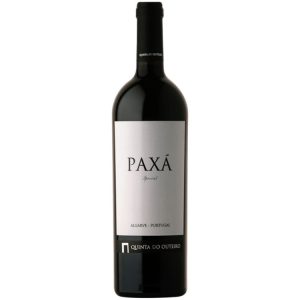VINHO PAXÁ ESPECIAL 2009 TINTO 0,75L