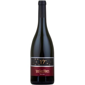 VINHO 100 HECTARES 17 2019 TINTO 0,75L