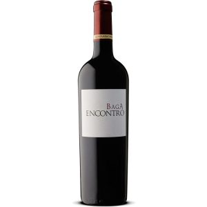 VINHO ENCONTRO BAGA 2009 TINTO 0,75L