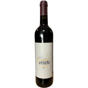 VINHO ENCOSTAS DE PENELA 2021 TINTO 0,75L