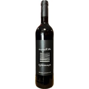 VINHO MONTE DA ESPERANÇA 2007 TINTO 0,75L